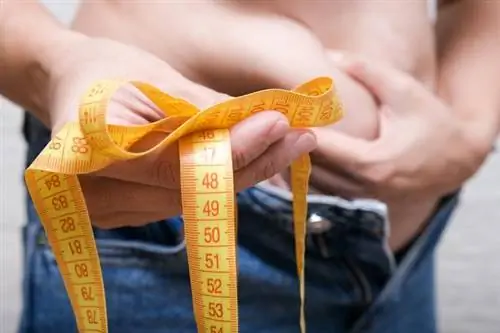 Окружность талии важнее веса. Каждый лишний сантиметр увеличивает риск сердечной недостаточности на 11%.