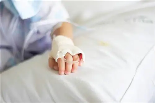 Raszków: Жнец содрал кожу с головы 12-летней девочки. Девушка остается в коме