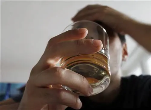 Вещество из «волшебных грибов» лекарство от алкоголизма? Его эффективность действительно велика