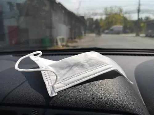 Маска в машине