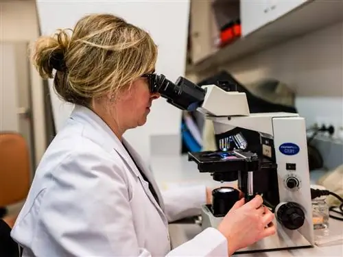 Кровь выздоравливающих как лекарство от коронавируса? Исследования ведутся в Варшаве