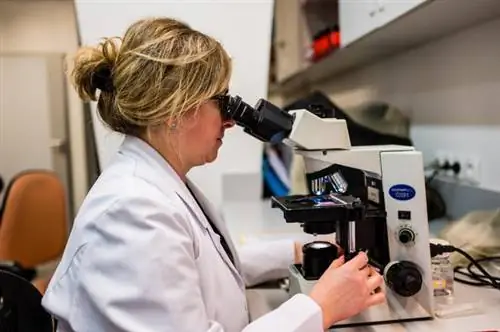 Коронавирус в Тригороде. Так работают лаборатории