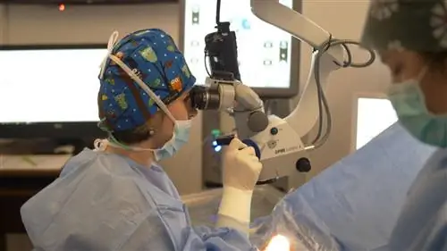 Чешский способ борьбы с чумой. Все больше и больше выздоровлений, медленное снятие ограничений