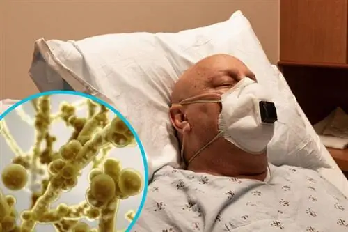 Пациент в постели