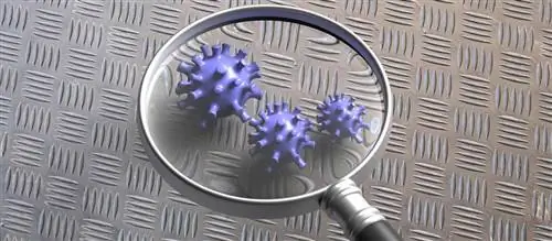 От 3 часов до 7 дней. Вот как долго вирус будет жить - у нас есть новые данные