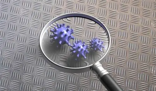 Как долго вирус будет жить