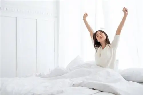 Постельные принадлежности для аллергиков - антиаллергенные одеяла и подушки