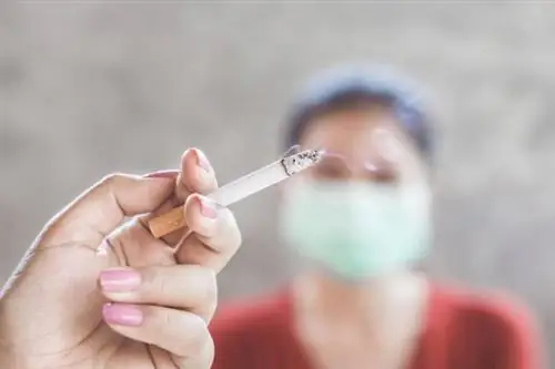 Корона вирус. Сигареты вредят, никотин помогает? Исследователи в пути!