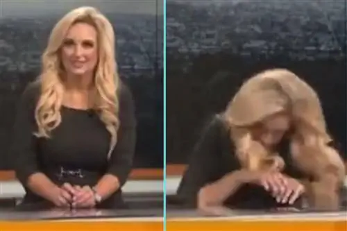 Девушка-метеоролог внезапно потеряла сознание от этого видения. «Мы должны немедленно остановить программу»