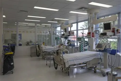 Более 60 человек заболели ботулизмом. Народное лечение вином