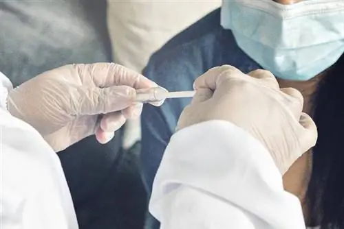 Поляки создали тест на смертельную болезнь. Результат через 15 минут