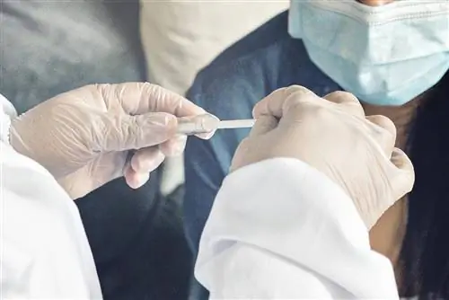 Поляки создали тест на смертельную болезнь. Результат через 15 минут