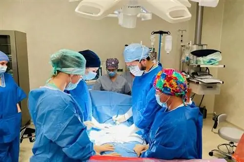 У пациентки удалили 11-килограммовую опухоль яичника