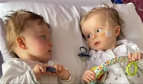 Врачи говорят, что дети «ленивые». Близнецы борются за жизнь и здоровье
