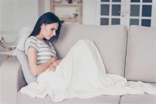 Обнаружены новые симптомы, которые могут помочь диагностировать рак поджелудочной железы