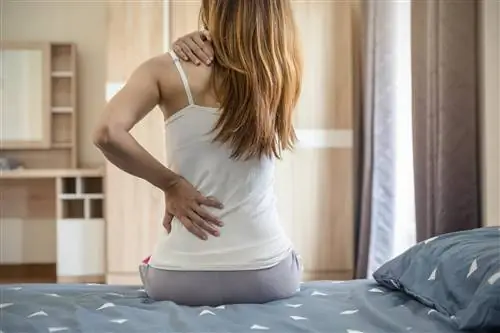 Вас беспокоит боль в левом боку? Проверьте, что может быть причиной