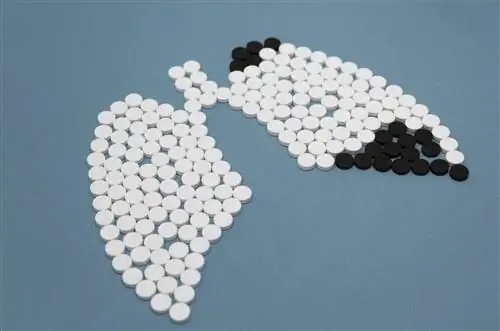 Надежда для пациентов с мелкоклеточным раком легкого