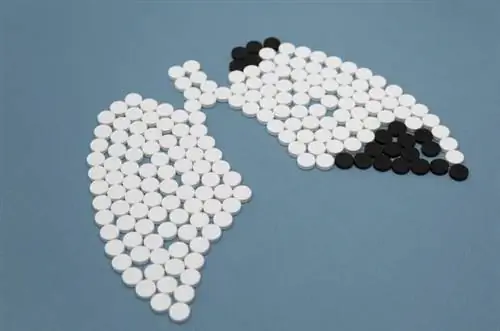 Надежда для больных мелкоклеточным раком легкого