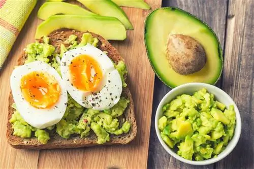 Белково-жировые завтраки – кому их есть?