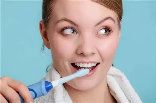 Звуковая зубная щетка: как она работает и эффективна ли? Звуковая или электрическая зубная щетка?