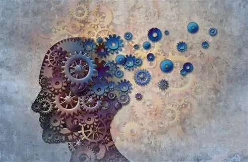 Как стареет нервная система?