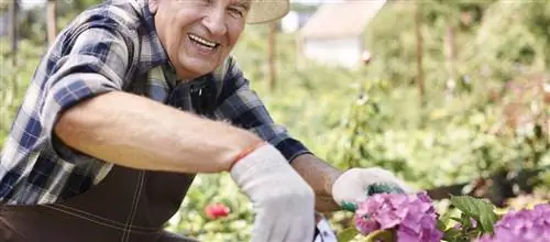 Хобби на пенсии: 9 идей для творчества