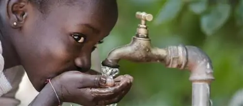 В каких странах самая короткая жизнь?