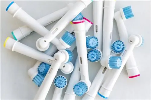 Электрическая зубная щетка: какую выбрать и как ею чистить зубы?