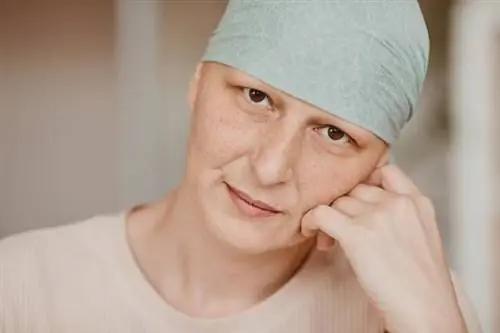 Рак и страх потерять работу Рак и страх потерять работу
