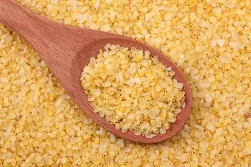 Пшенные хлопья - полезные свойства, калорийность, пищевая ценность