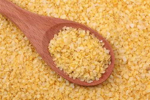 Пшенные хлопья – полезные свойства, калорийность, пищевая ценность