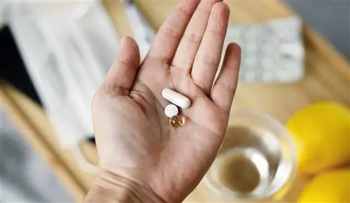 Добавки цинка вредят здоровью? Его избыток откладывается в жизненно важных органах