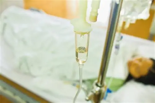 5 часов в ожидании, пока врач объявит смерть. «Врачи обязаны разделиться»