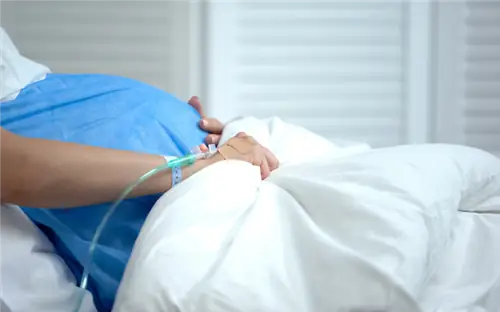 трансплантация матки