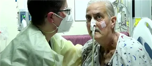 Новые данные о смерти реципиента сердца свиньи. Орган может быть заражен