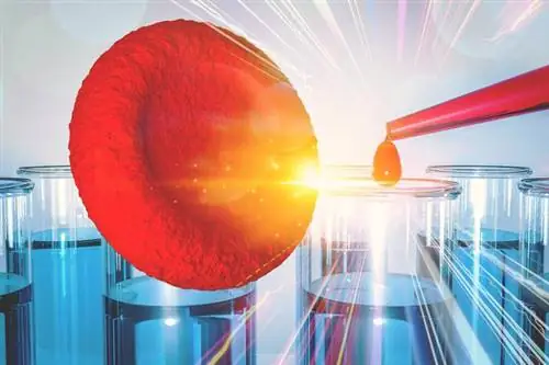 Привилегии доноров костного мозга