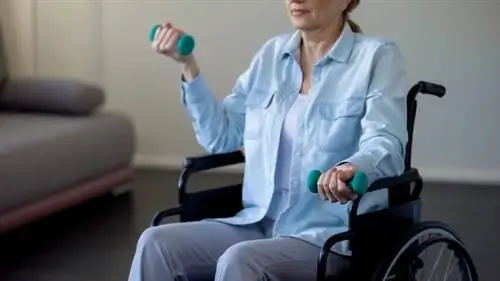 Гемиплегия (гемиплегия) - причины, симптомы, лечение, прогноз