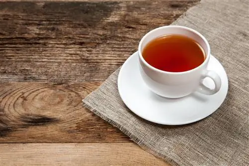 Teatox: что такое чайный детокс и насколько он безопасен?