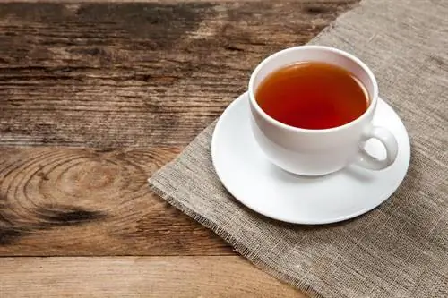 Teatox: что такое чайный детокс и безопасен ли он?