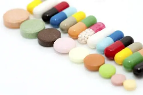 Таблетки для похудения лучше всего подходят вам: как выбрать?