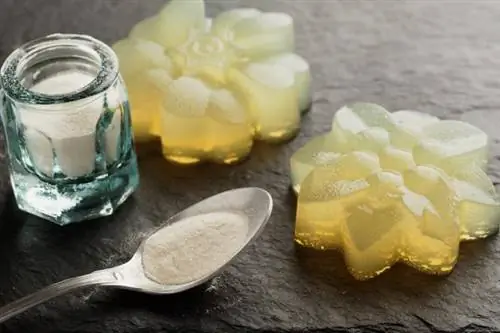 Агар (агар-агар, Е406) – свойства и применение