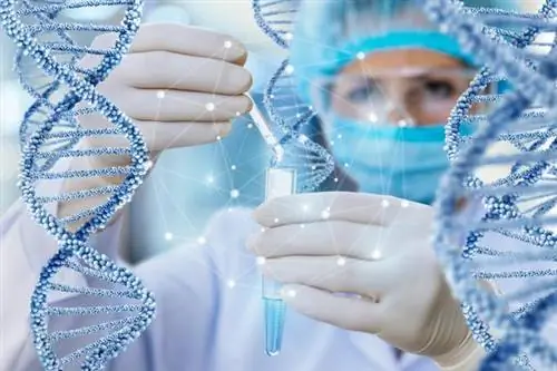 Синдром Иова (синдром гипер-IgE, HIES) - причины, симптомы и лечение