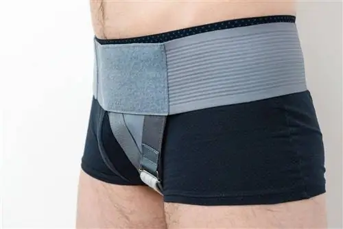 Грыжевой пояс: виды и показания к применению