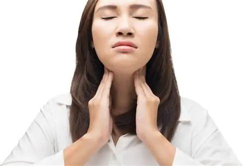 Гиперпаратиреоз - Диета при гиперпаратиреозе