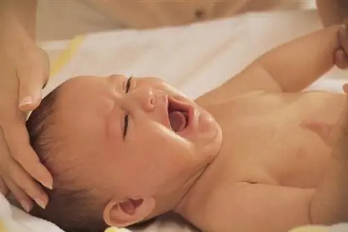 плачущие младенцы