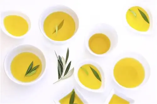 Бальзам Шостаковского: свойства, применение, эффективность