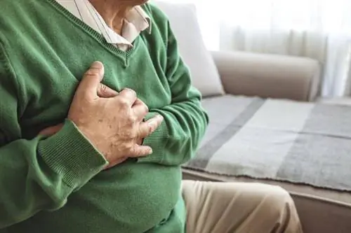 Тревожные данные кардиологов. Эти гаджеты могут ранить ваше сердце