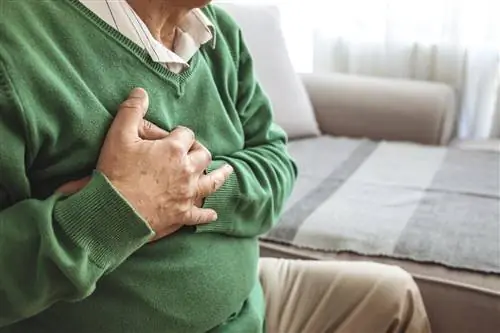 Тревожные выводы кардиологов. Эти гаджеты могут ранить ваше сердце