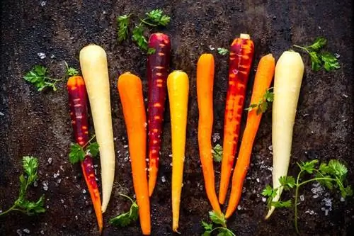 Белая морковь