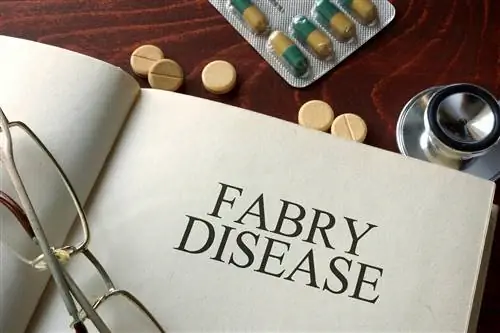 Fabry - острая проблема, время на исходе